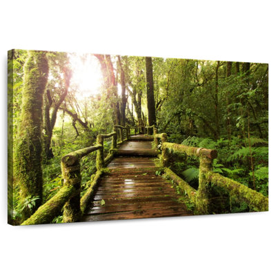 Passerelle Lilie Mossy Forest