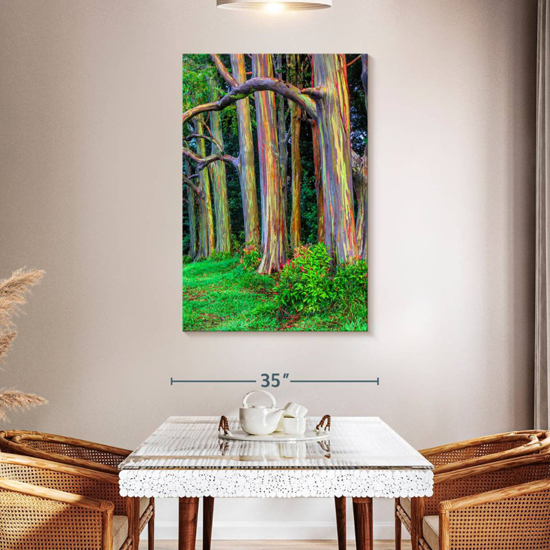 Arbres d'eucalyptus Alvord Maui Rainbow, H 48 po x l 32 po