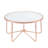 Single Coffee Table