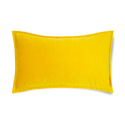 Rectangular Velvet Pillow Covers