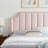 Modway Daniella-1166257251