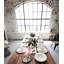 Alligator White Bone China Pasta Bowl