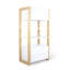 Linde 160cm H X 80cm W Pine Kids Bookcase