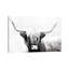 Highland Longhorn by Danita Delimont - Print on Canvas-1172184302-1145362435
