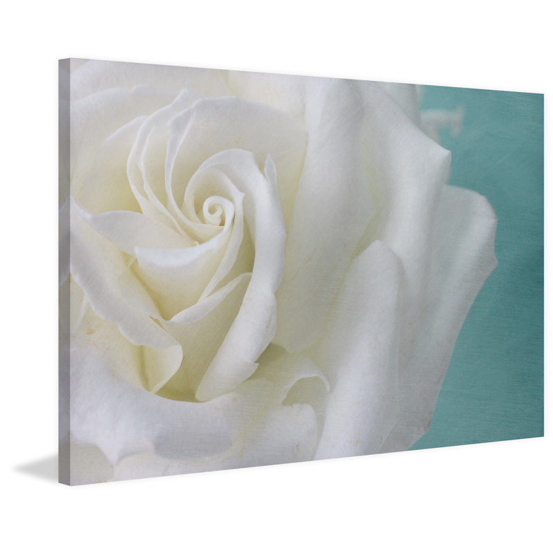 Judy Stalus - Wrapped Canvas Print, 76cm H x 114cm W x 3.81cm D