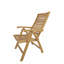 Carina Outdoor Teak Lounge Chair