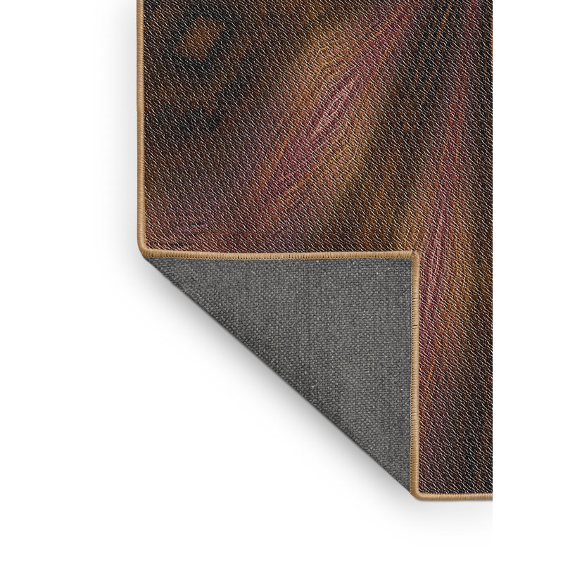 Brun Tapis décoratif, Rectangle 5 pi x 7 pi