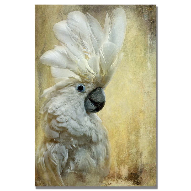 « cocktoo » par lois bryan, impression sur toile, H 24 po x l 16 po x P 2 po