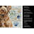 Chocolate Labradoodle Coastal Sea Glass Kitchen Towel-871464331