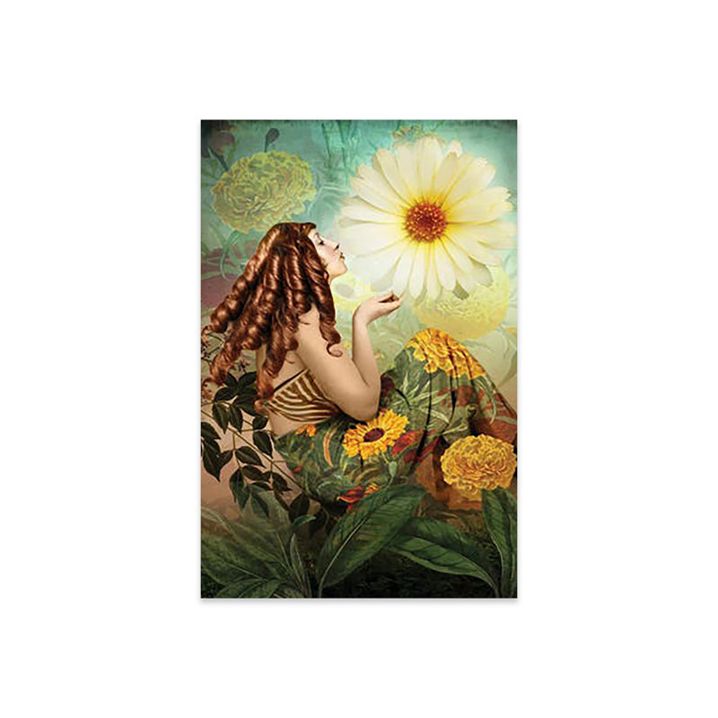 Marigold par Catrin Welz-Stein - impression sans cadre, H 24 po x l 16 po x P 0,25 po