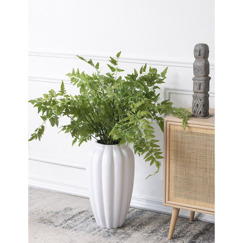 Fern Arrangement