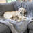 Cozy Waterproof Pet Throw-98552409