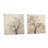 Minimalism Beige Maple Tree Melody IV - Tree Maple Acrylic Wall Art Glass Set Of 2-103920149
