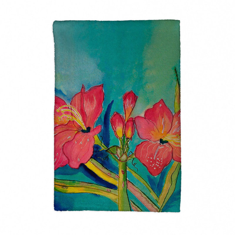 Dish Cloth Kitchen Towel