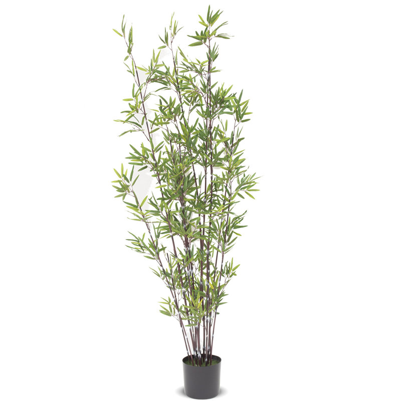 188cm Faux Bamboo Tree in Earthenware Pot
