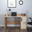 Lelia Computer Desk With Cabinet-262457189