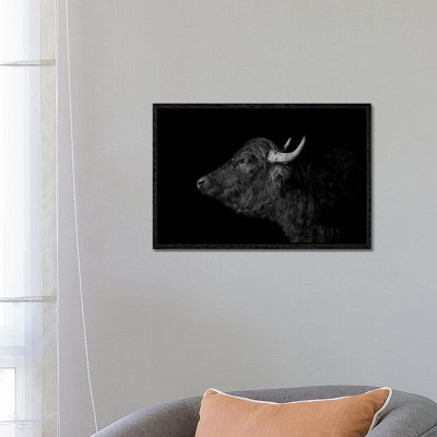 Buffalo - Print on Canvas
