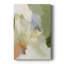 Verdure II - Cavas enveloppés de galerie