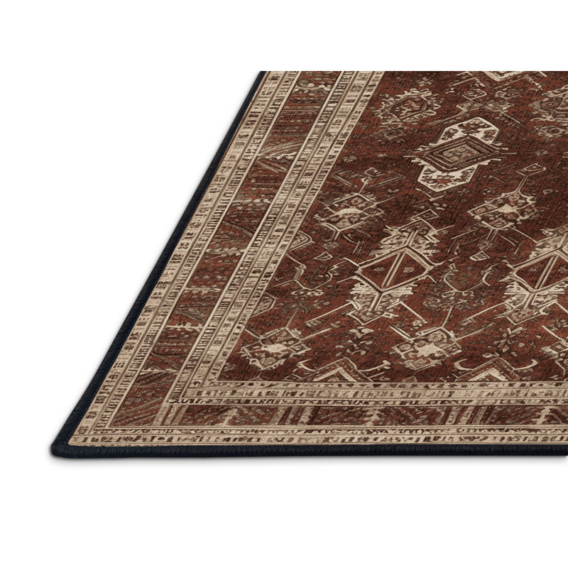 Tapis brun lavable à la machine, Rectangle 4pi x 6 pi