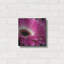 «Gerbera Daisy» par Pamela Plummer, art mural en métal, 12 po x 12 po-1798402401