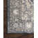 Sagefield Oriental Indoor Rug