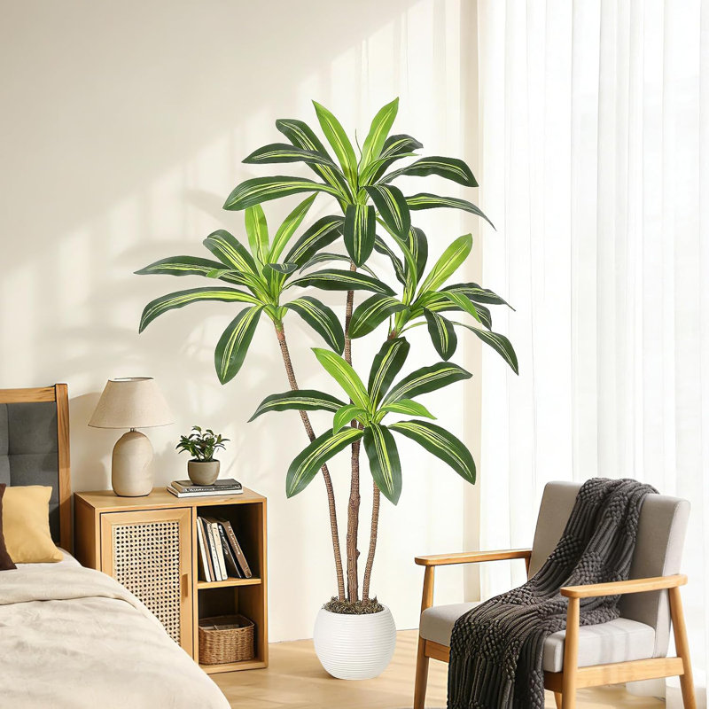 9.84cm Plant, 150 cm x 22 cm