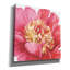 «Pink Garden V» par Lisa Audit, art mural sur toile-1427097724