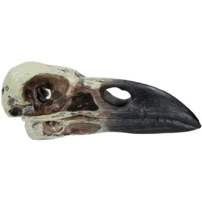 Alyzea Animals Figurines & Sculptures