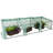 Gulianna 9' x 3' x 2' Outdoor Mini Cloche Greenhouse with a Green Cover
