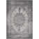 Aoi Chenille Oriental Indoor Rug