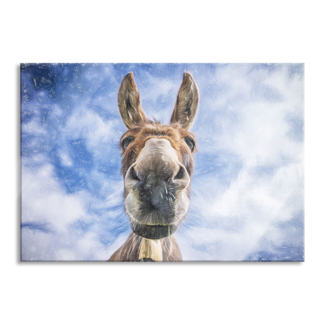 Glasbild Donkey