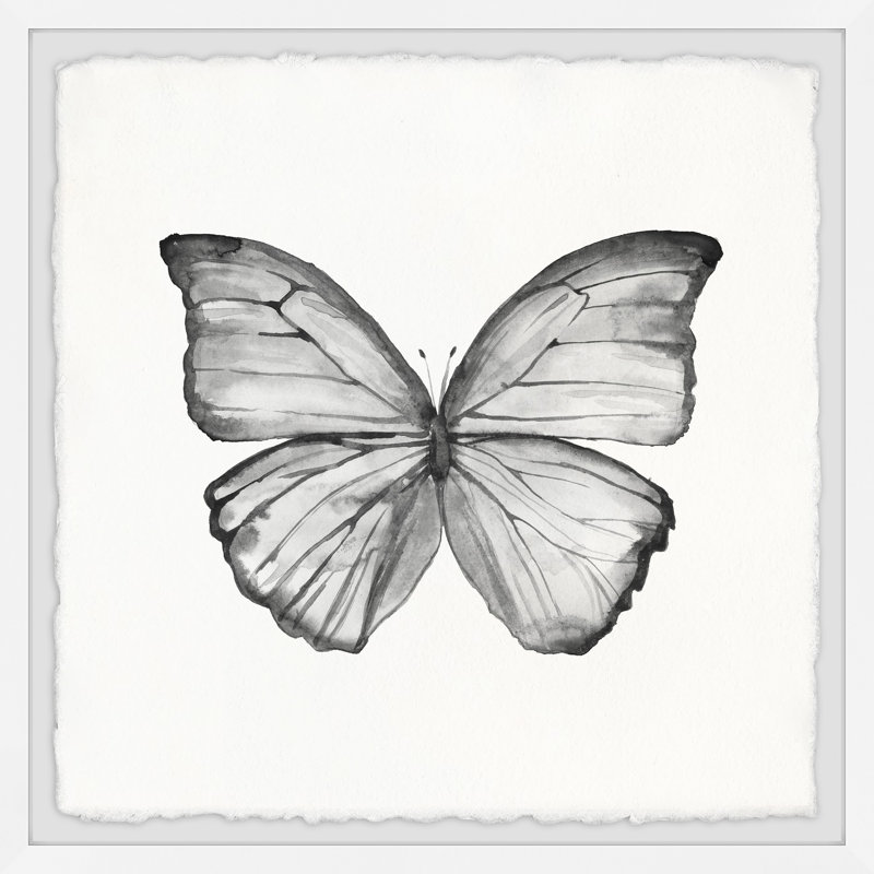 Grey Lace Wings by Marmont Hill - Single Picture Frame Print, 51cm H x 51cm W x 3.81cm D