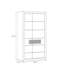 Rajeeni Manufactured Wood Wardrobe