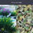 Breeze Window Film 24" x 36"