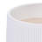 Ceramic Flowerpot