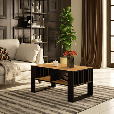 Shaian Four Leg Coffee Table with Storage