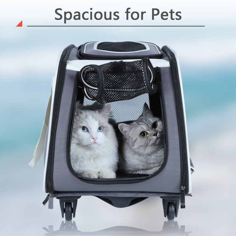 Darely Collapsible Pet Carrier with 2 Doors