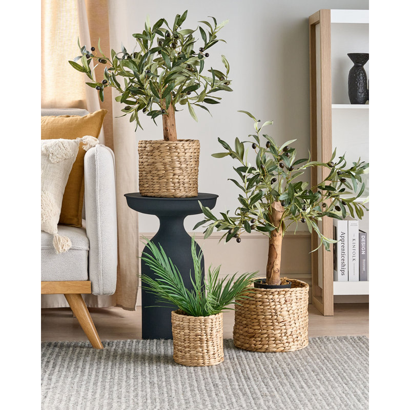Aldah Pot Planter