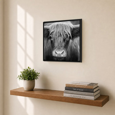 Cow Nose BW