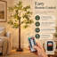 Lampe sur pied à DEL 71 po avec 8 modes d'éclairage et télécommande pour Noël, mariage et fêtes