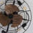 20.4" Bloneva Farmhouse Caged Ceiling Fan with Light Kit and Remote Control Included-1670758969