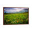Colorado Flowers by Dan Ballard - Print on Canvas-42155601-89237116