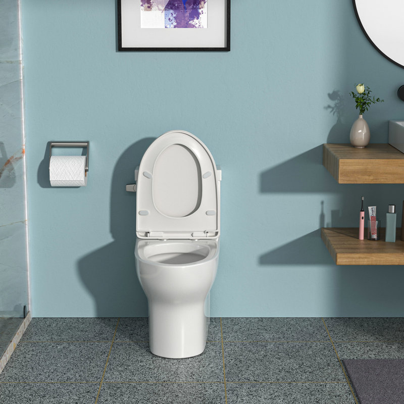 One Piece Ceramic Toilet With Lid - Siphon Flush, Low Water Absorption Rate, , White Accessory Soft High , Absorption, Contemporary Design,