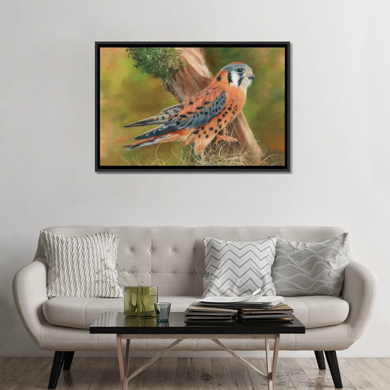 «American Kestrel», impression sur toile, H 18 po x l 26 po x P 1,5 po, Toile avec cadre noir, Pas de tapis