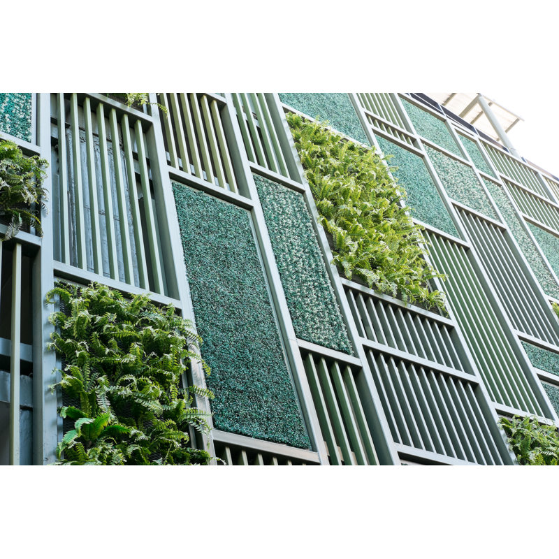 «Onye Green Facade On Canvas» par Moomusicien, photographie, H 24 po x l 36 po