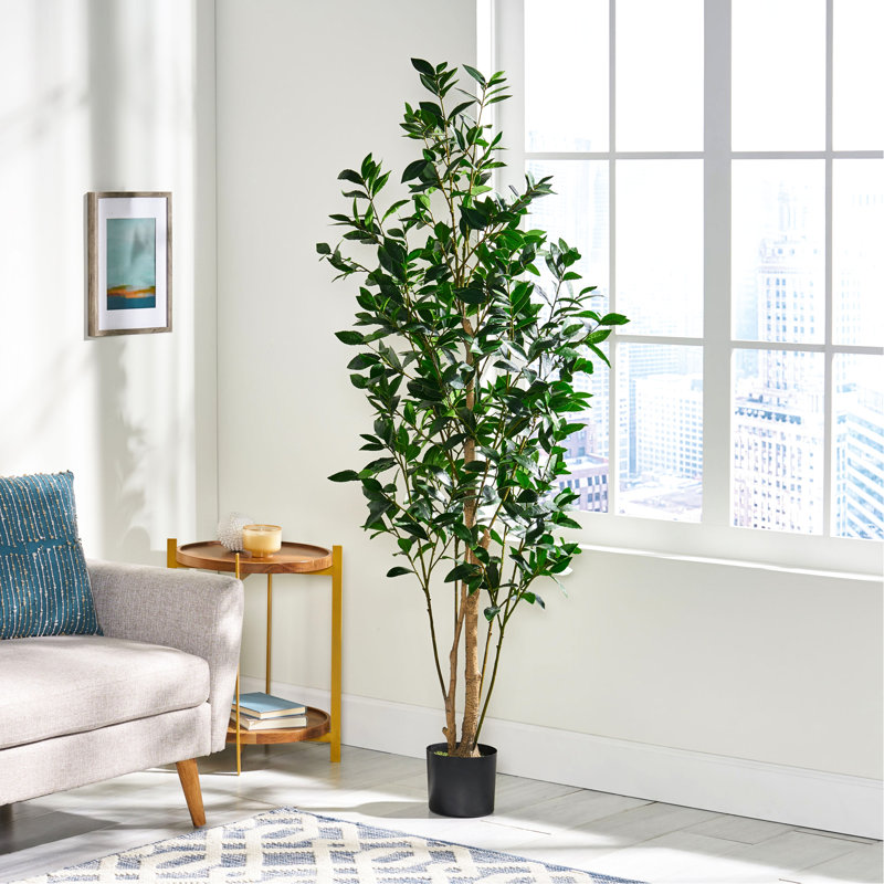Arbre artificiel de 180 cm - Transformez votre intérieur rapidement pour une utilisation facile H 69,42 po x l 29,12 po P 24,93 po cadre en fer flexible Les feuilles en plastique décorent facilement la maison avec un présentoir pratique