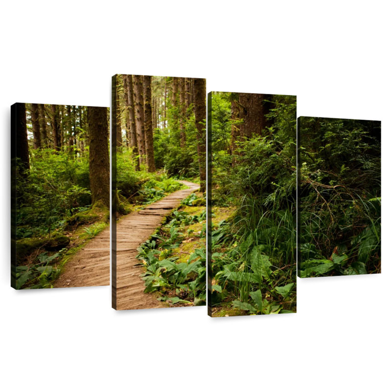 Sentier de randonnée Alvord Redwoods, H 48 po x l 75 po