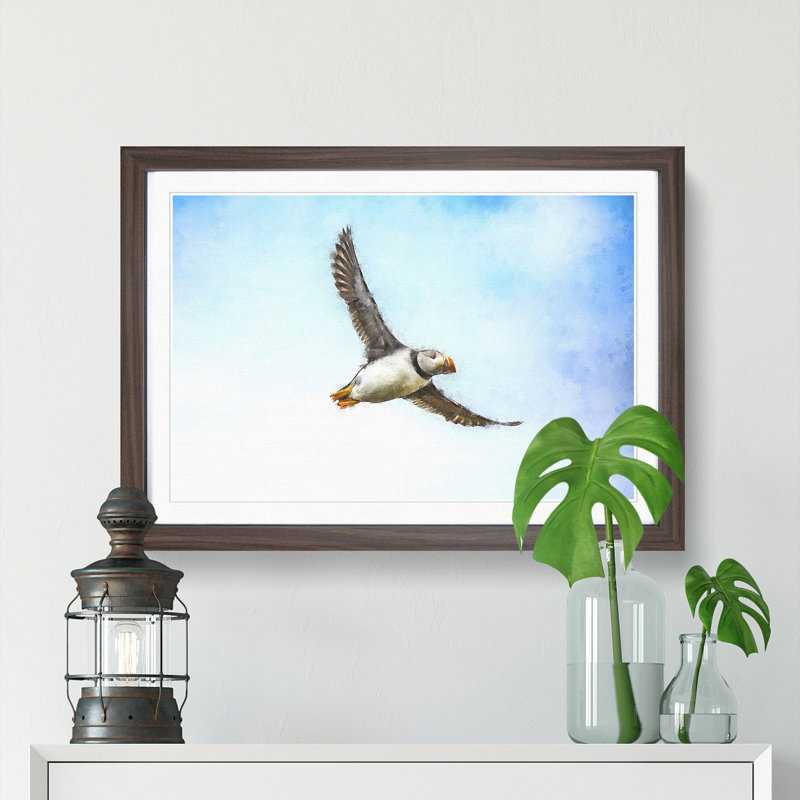 Flying Atlantic Puffin Bird - Picture Frame Graphic Art Print, 24cm H x 33cm W x 2cm D, Walnut Framed