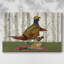 Toile tendue Pheasant-88995103
