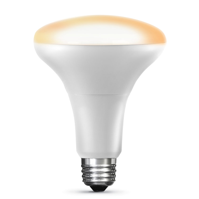 Feit Electric Equivalent BR30 E26/Medium (Standard) Dimmable 2700K LED Smart Bulb